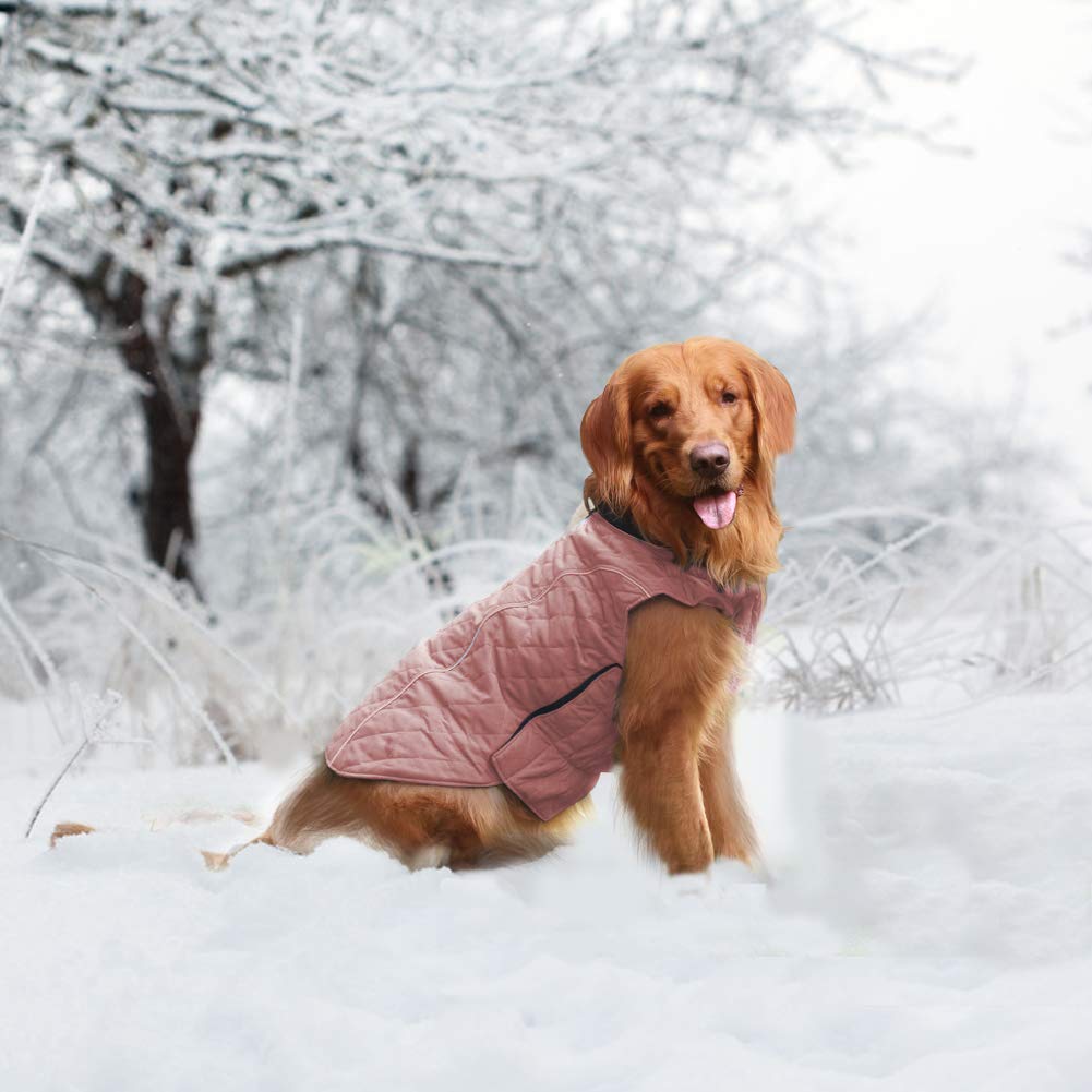 Emust Dog Jackets For Winter, Thick Dog Clothes For Medium Dogs Boy, Coats For Dogs Winter, Dog Coats For Cold Weather, 7 Sizes