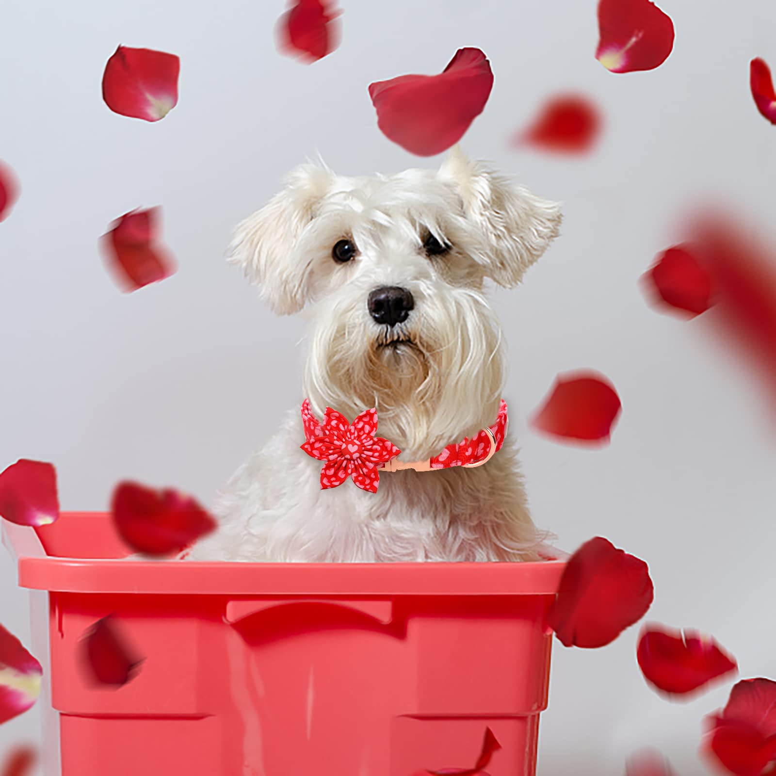 Babole Pet Valentine'S Day Dog Collar With Flower Tie, Pink Red Love Male Dog Collar With Safety Metal Buckle Adjustable Puppy Collars For Small Medium Large Boy & Girl Dog,Xs-Neck 8'-12'