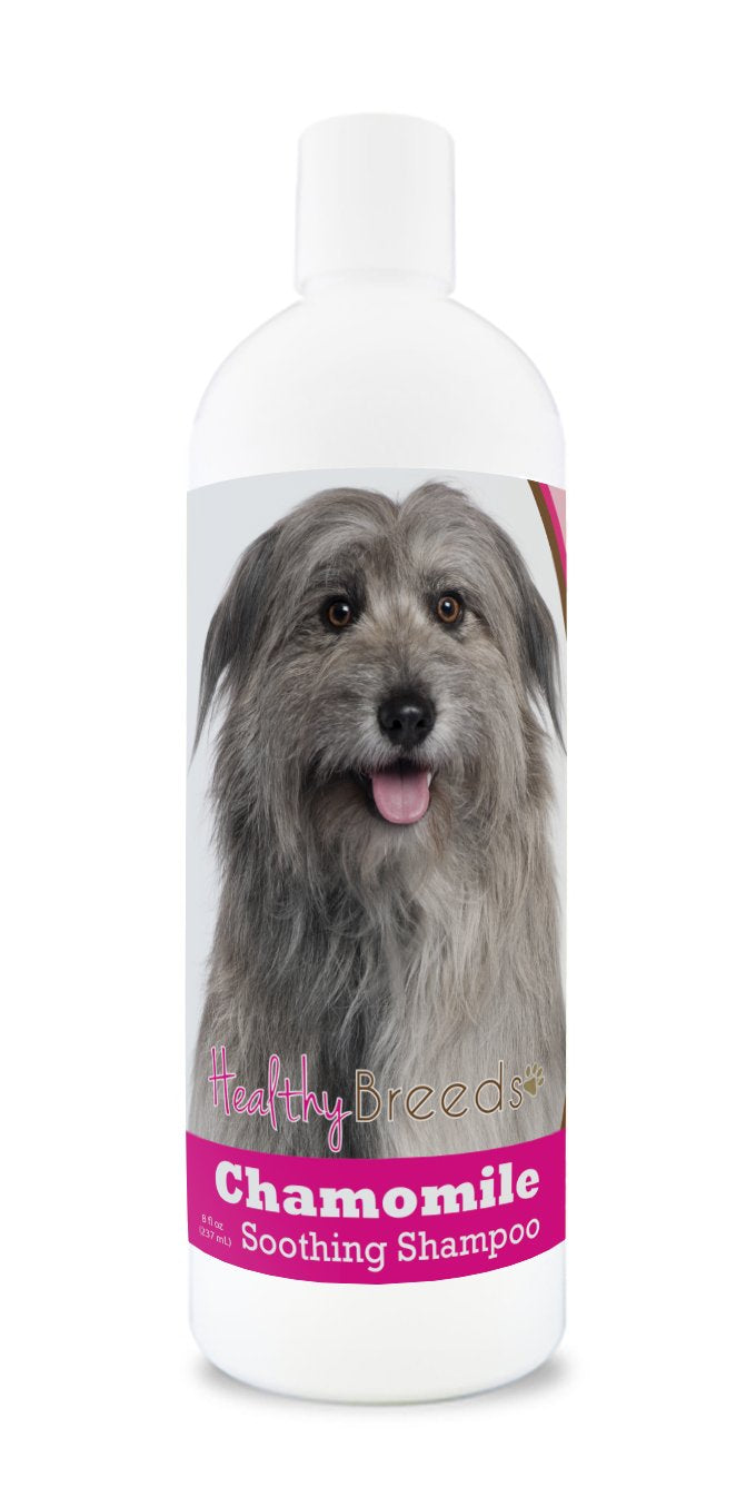 Healthy Breeds Pyrenean Shepherd Chamomile Soothing Dog Shampoo 8 oz