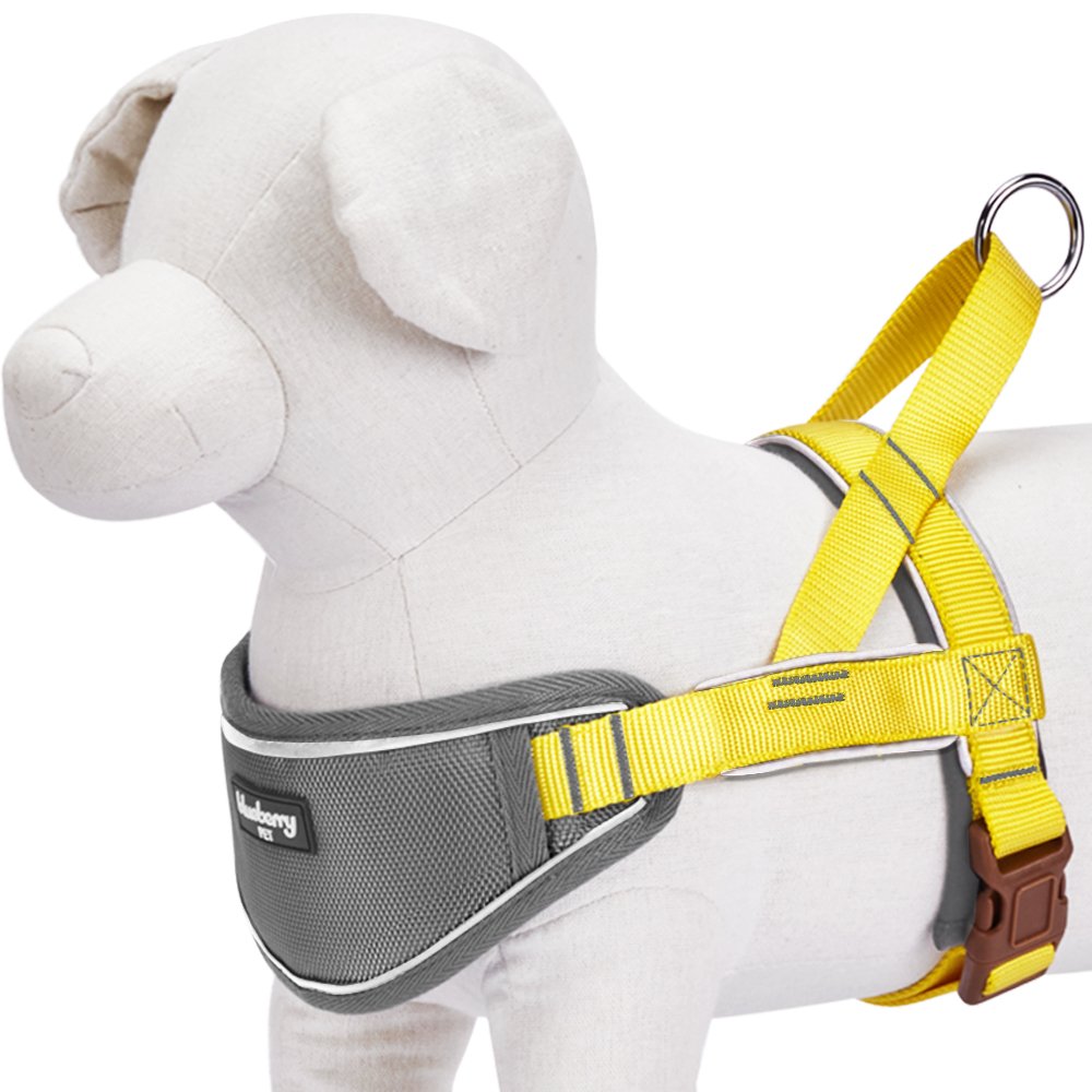 Blueberry Pet 8 Colors Soft & Comfy 3M Reflective Strips Padded Dog Harness Vest, Chest Girth 20.5'' - 25.5'', Sunshine Yellow,