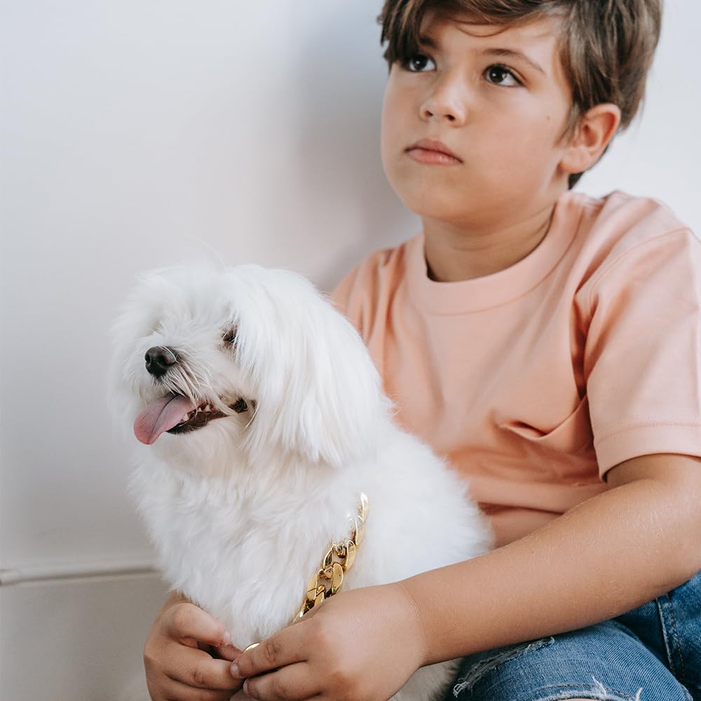 Madison Tyler Dog Gold Chains Necklace | Cuban Link Durable Dog Necklace | Cute Fashion Pet Collar | Light Metal Jewelry Bold Ch