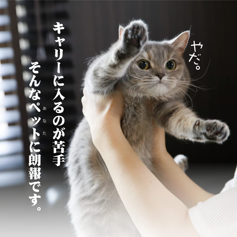 Van Ness Calm Carrier (For Cats Up To 20 Lbs.)