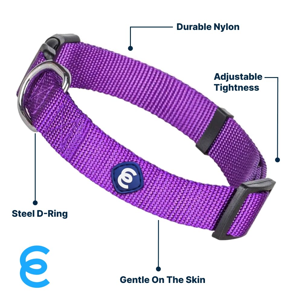 Blueberry Pet X-Small Dog Collar | Girl Dog Collars | Female Dog Collar Xs | Quick Release Dog Collar | Dark Orchid Nylon Dog Co