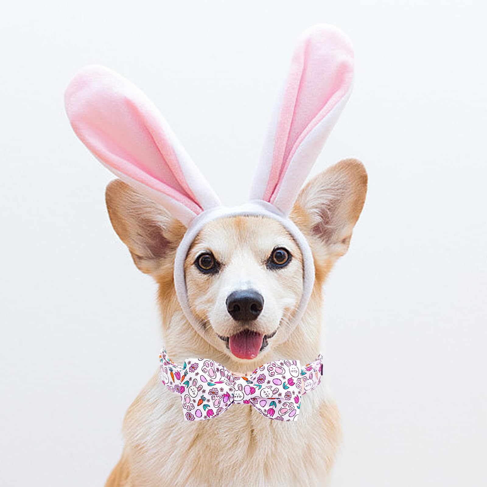 Lionheart Glory Dog Bow Collar Easter Day Dog Collar For Small Dogs,Easter Rabbits Eggs Colorful Dog Collars With Bowtie Spring