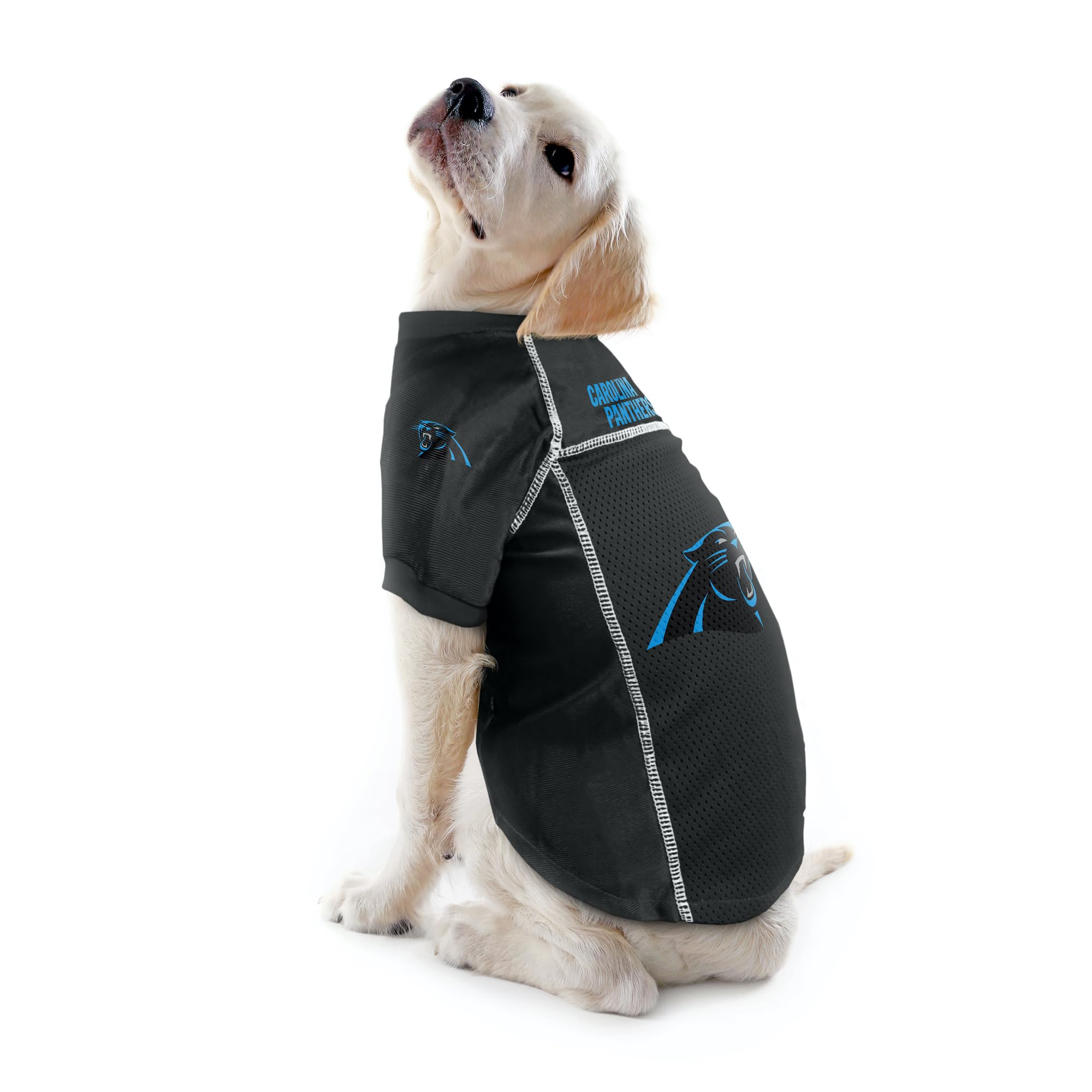 Littlearth Unisex-Adult Nfl Carolina Panthers Basic Pet Jersey, Team Color, X-Small, (320134-Pant-Xs)