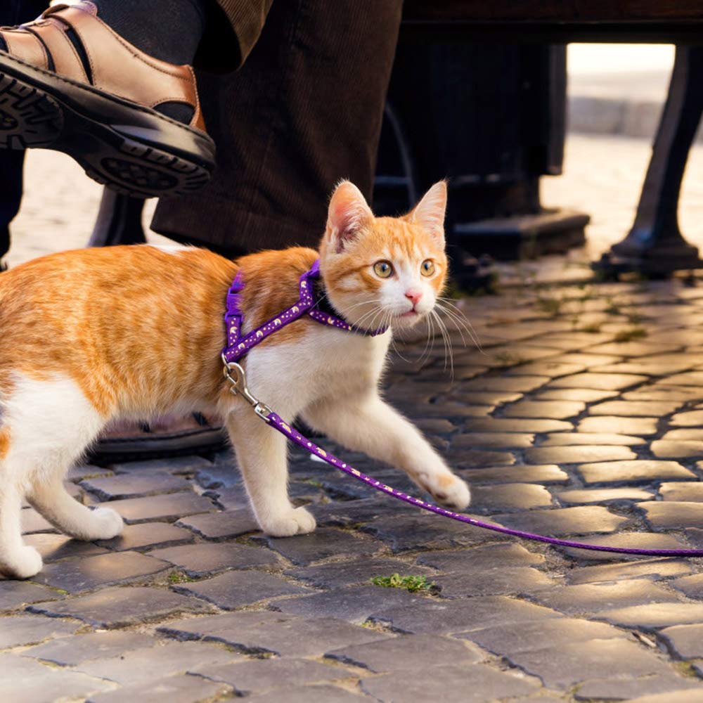 Cat Harness And Leash Set Gold Moons Soft Nylon Escape Proof Adjustable For Kittens Small Animals Glow In The Dark(Purple)