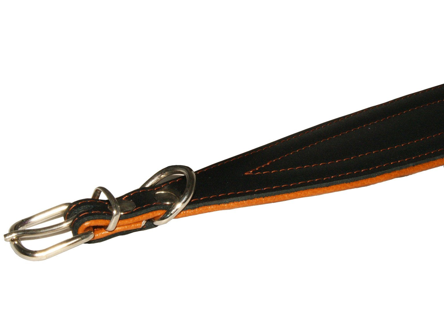 Real Leather Extra Wide Padded Tapered Dog Collar Glossy Black Greyhound Saluki Deerhound Lurcher Whippet Dachshund