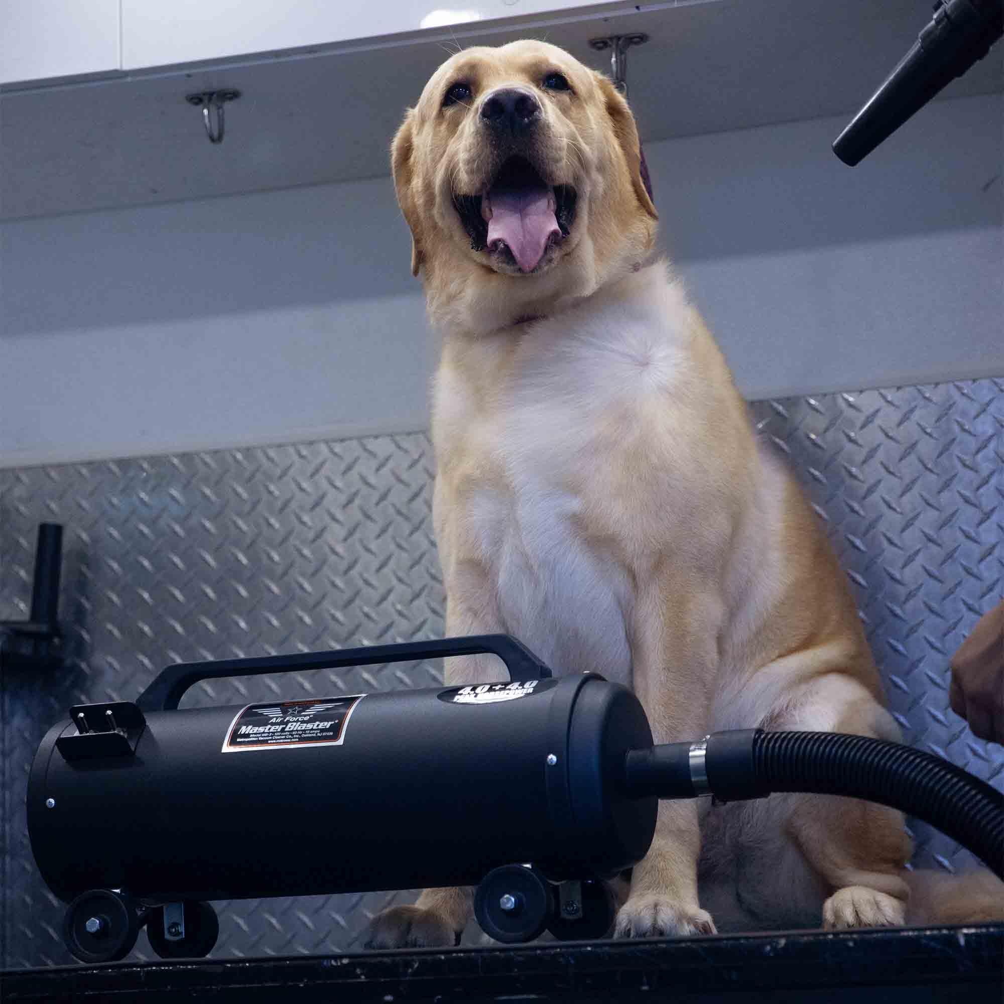 Metrovac Mb-3 Air Force Blaster Pet Dryer, Professional Blower, Efficient Cleaner, 4.0 Peak Hp Twin Fan Motors 120V, 10 Ft Comme