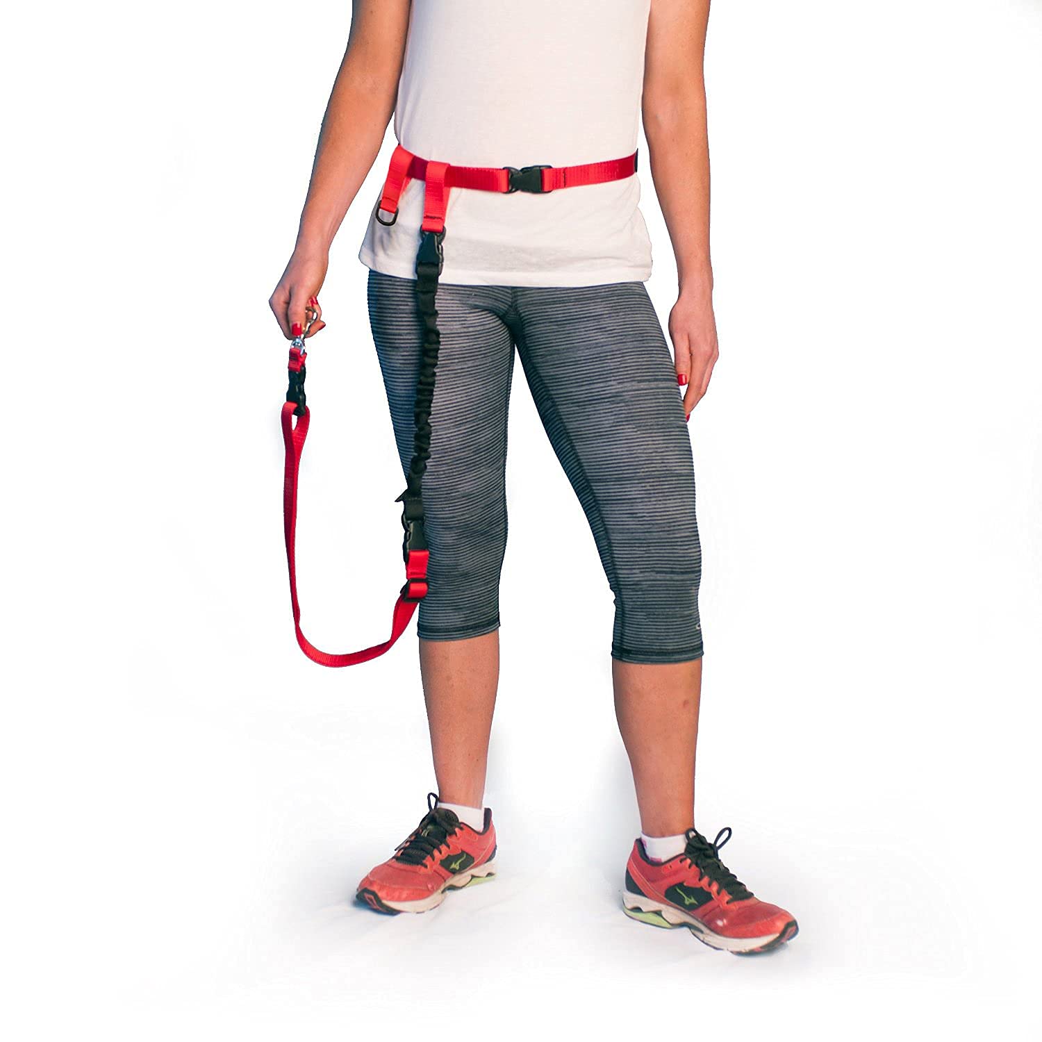 The Buddy System Accessories For Our Dog Leashes Made In Usa (Shock Absorber, Regular Dog Black)