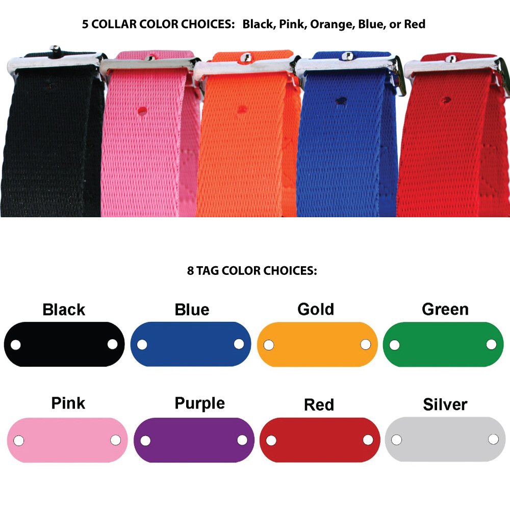 Gotags Personalized Dog Collar With Rivet-On Nameplate, Custom Engraved Name Plate Id Tag On Nylon Dog Collar In 5 Color Options