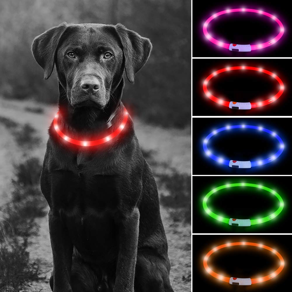 Higo Light Up Dog Collars - Rechargeable Lightweight Glowing Puppy Collar, Silicone Lighted Pet Collar Lights For Night Walking (Red)