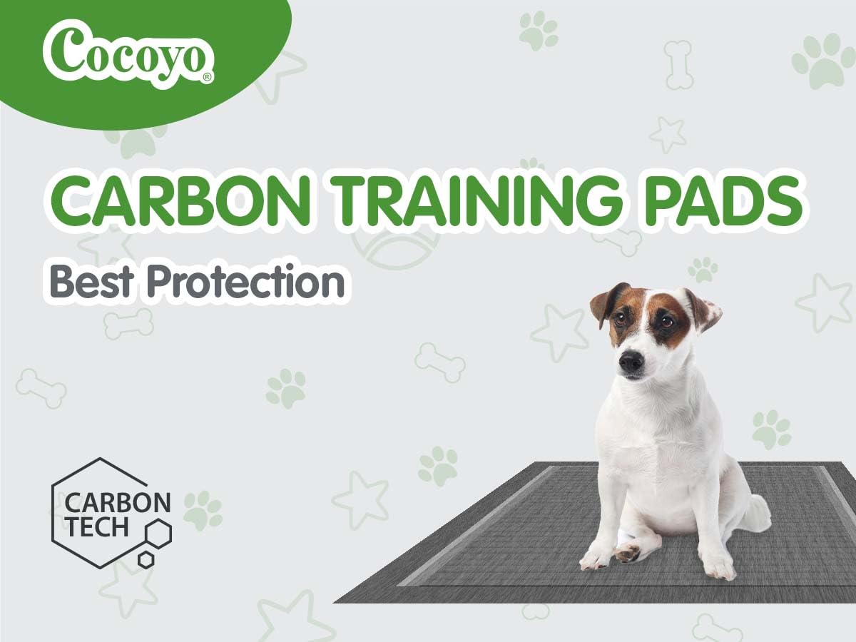 COCOYO Dog Training Pads?Carbon Absorb Eliminating Urine Odor Puppy Pads?Premium Charcoal Dog Pee Pads (100 Count, 17.5x23.5 inc