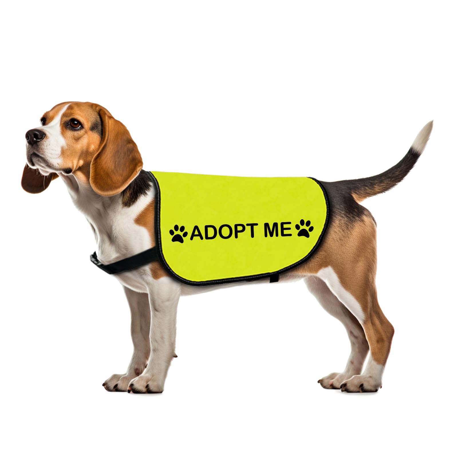 Rescue Dog Jacket Vest Adopt Me Pet Vest Foster Dog Slogan Vest (Adopt Me-Small)