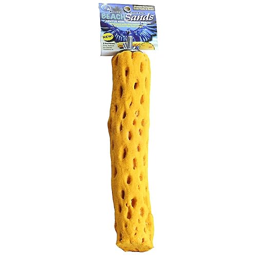 Polly'S Beach Sands Bird Perch, Large