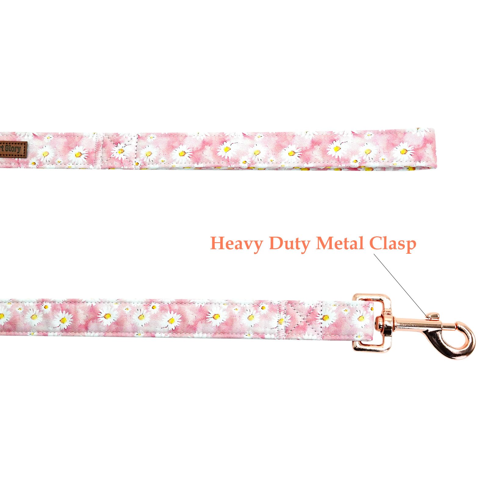 Lionheart Glory Strong Dog Leash, Floral Print Durable Dog Leashes With Soft Handle For Walking Training X-Small Male Or Female