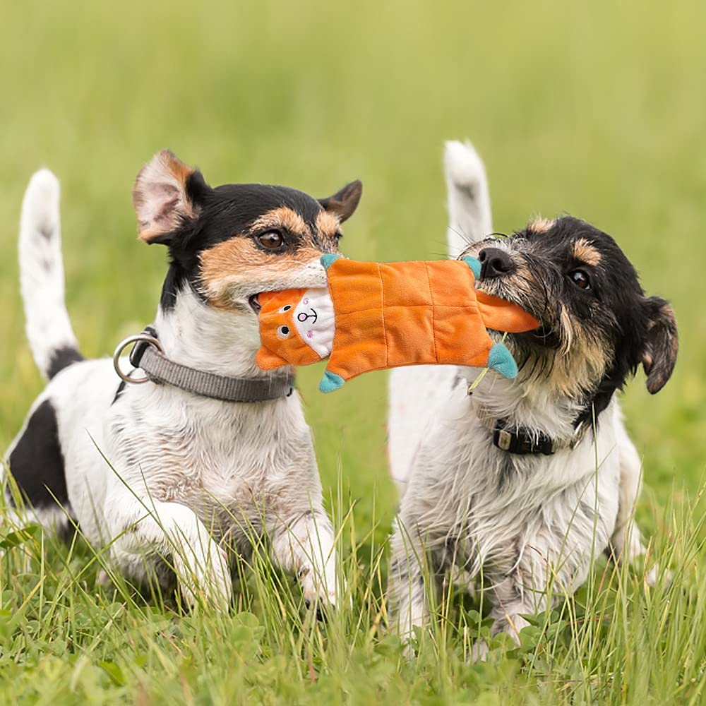 No Stuffing Dog Toys,5 Pack Dog Squeaky Toys Crinkle Plush Dog Toys Set For Puppy Teething, Durable Dog Chew Toys For Small Medium Dog,Cute Holiday Pet Toys For Playing Training Reducing Boredom