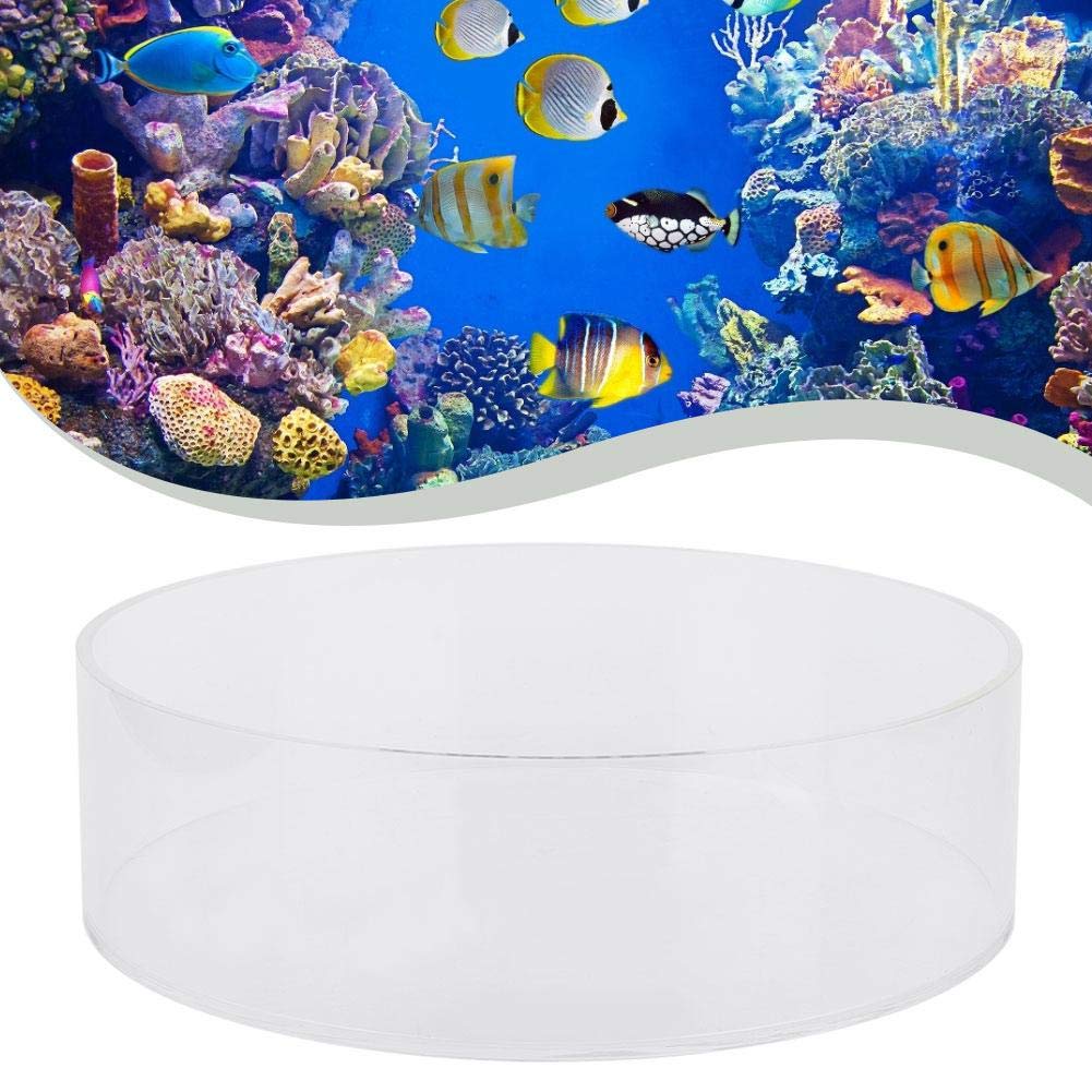 Sugoyi Coral Observe Lense, Fish Tank Acrylic Coral Observe Lense Aquarium Fish Photograph Cylinder Magnifier Coral Viewer For V