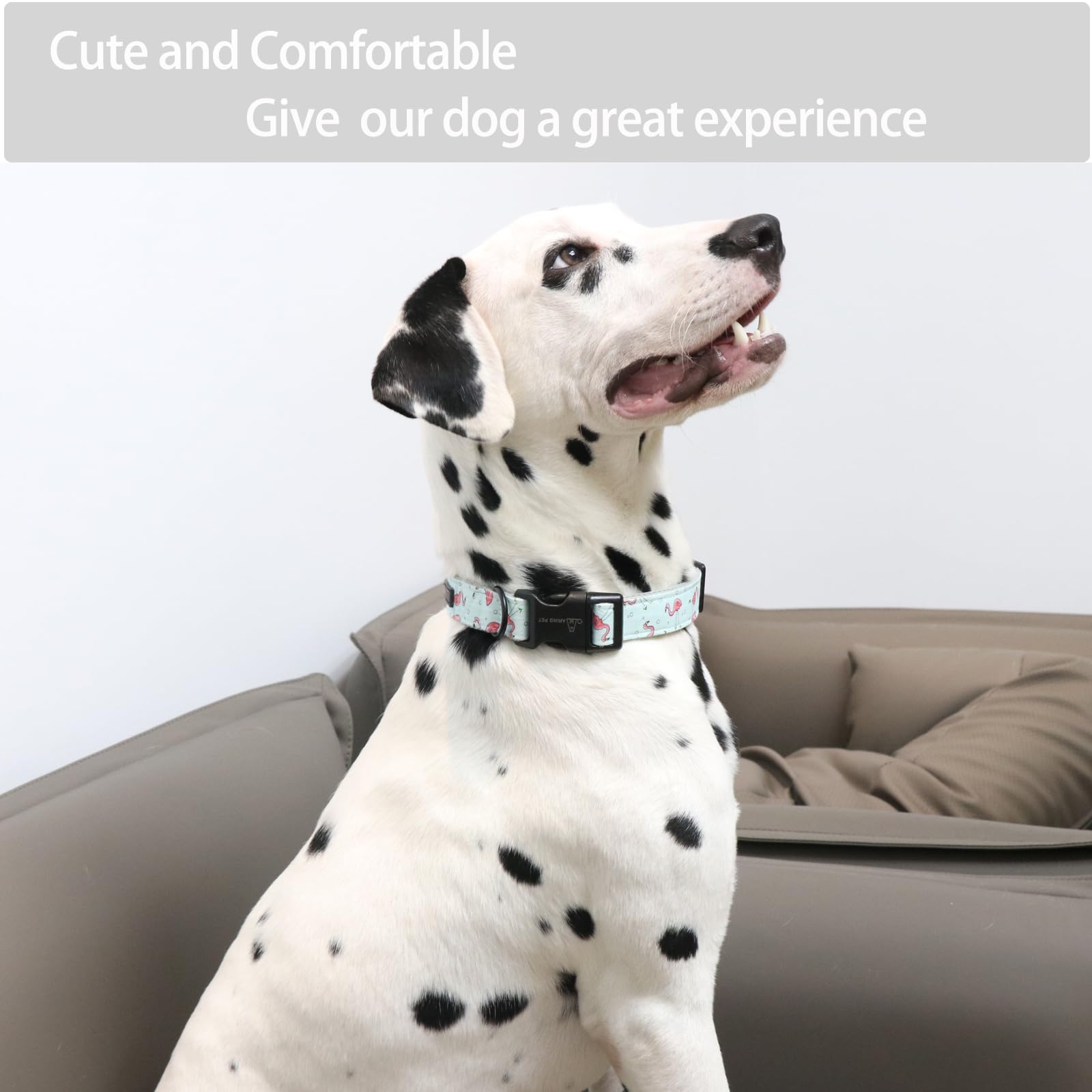 Aring Pet Flamingo Dog Collar-Cute Summer Small Dog Collars, Adjustable Lightweight Cotton Pet Collars For Small Medium Large Boy And Girl Dogs, Large