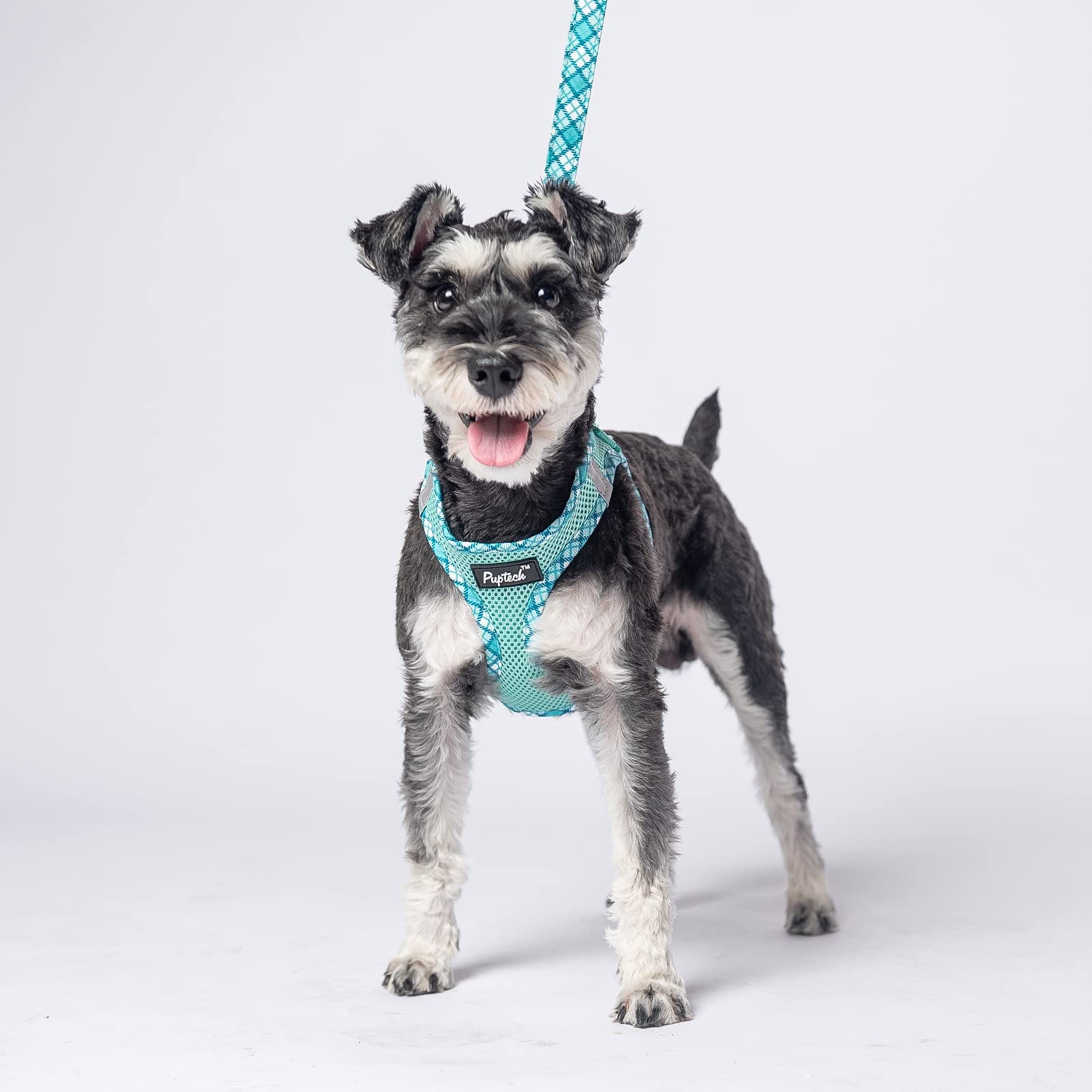 Pupteck Dog Harness And Leash Set For Small Medium Dogs No Pull Step-In Soft Mesh Puppy Cat Vest Harnesses Reflective At Night, Green M