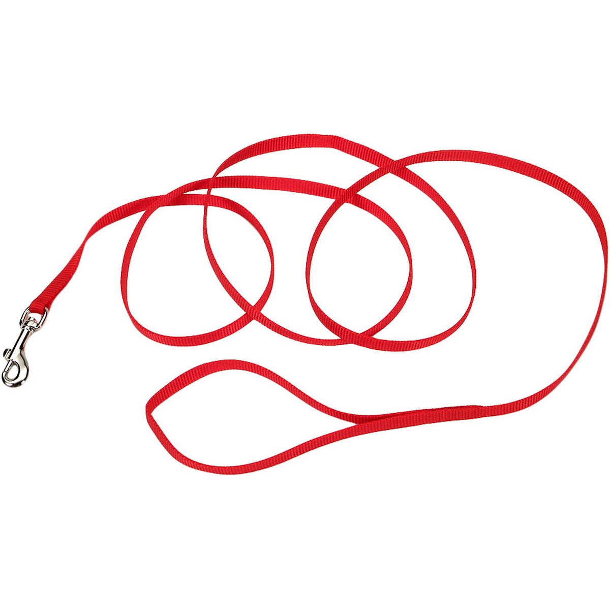 Coastal Pet Single Nylon Lead Red