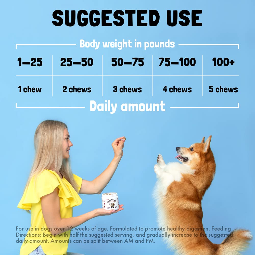 Dog Vitamins - 120 Multivitamins Chews w/Glucosamine Chondroitin, Probiotics Digestive Enzymes and Omegas - Supplement for Overa
