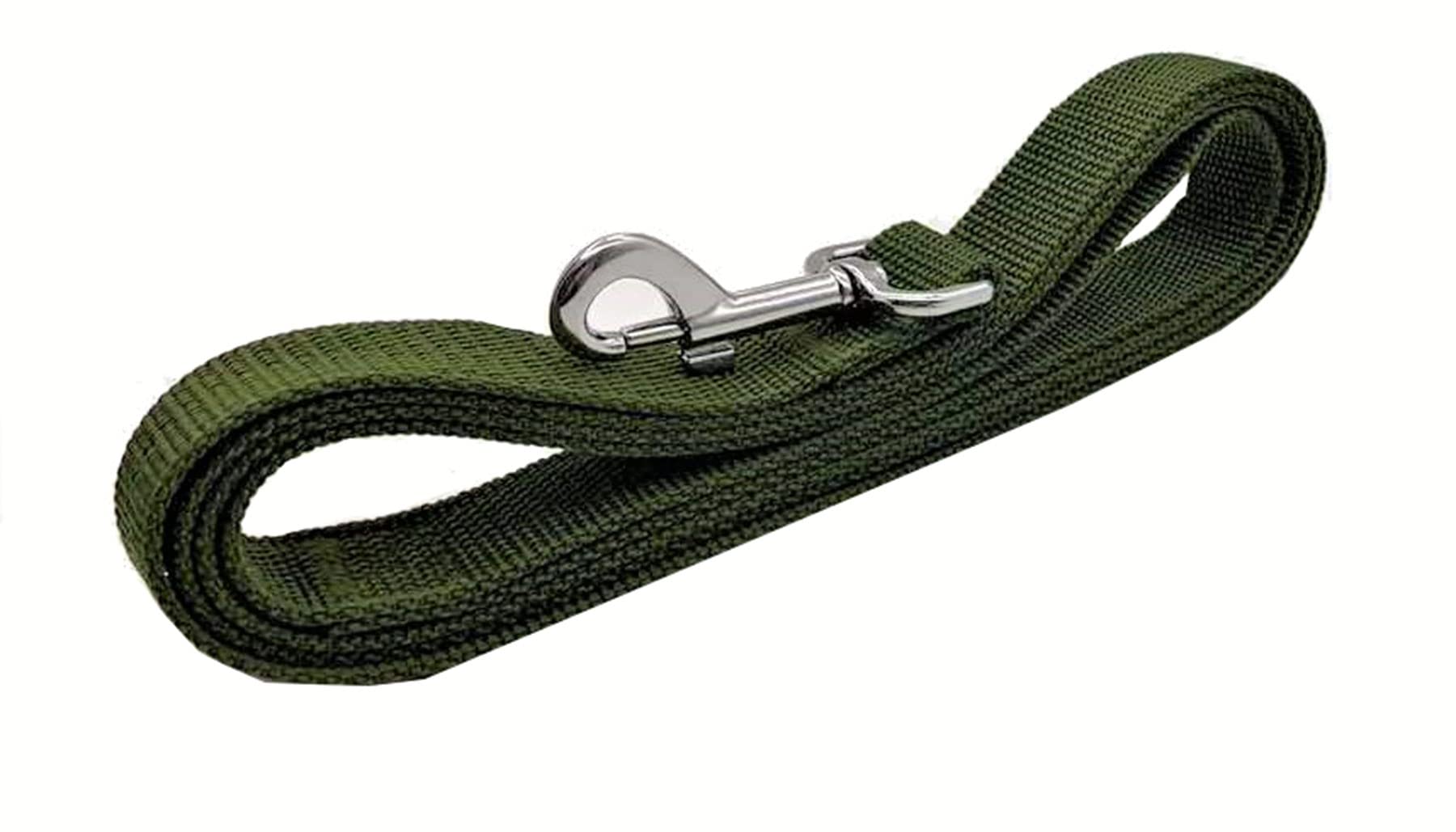 Taian 4Ft/5Ft/6Ft Strong Dog Leash, Nylon Dog Leashes For Small Medium Large Dogs (Green, 1 In X 15 Ft)