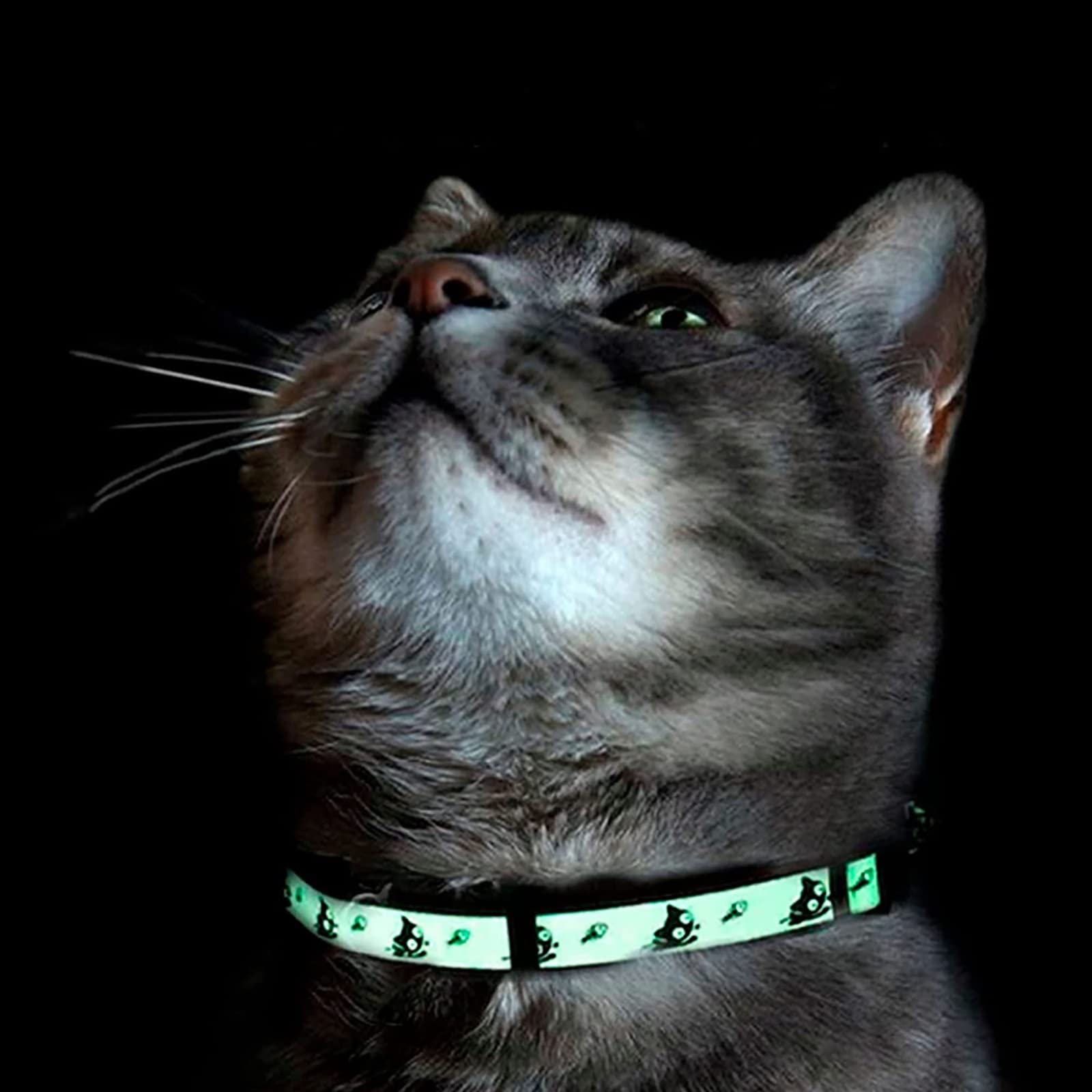 Pawtitas Halloween Cat Collars For Cats Adjustable Collar Glow In The Dark Feature And Safety Breakaway Buckle And Removable Bell To Match Your Halloween Cat'S Costume - Black Cat Pattern