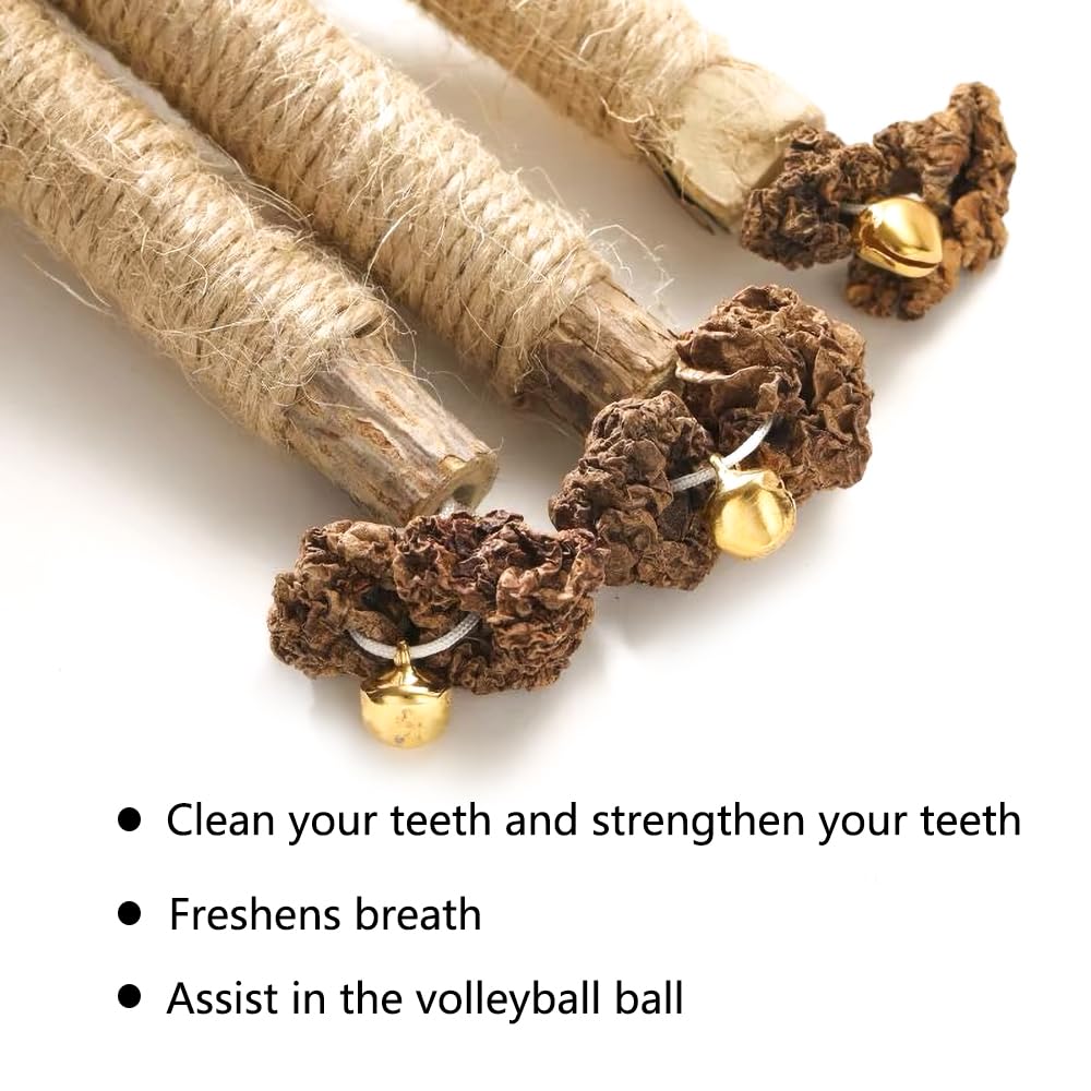 Hzongmingzt 6 Pcs Natural Silvervine Sticks Catnip Toys - Cat Toys Indoor Cats Interactive Matatabi Dental Care Teething Chew To