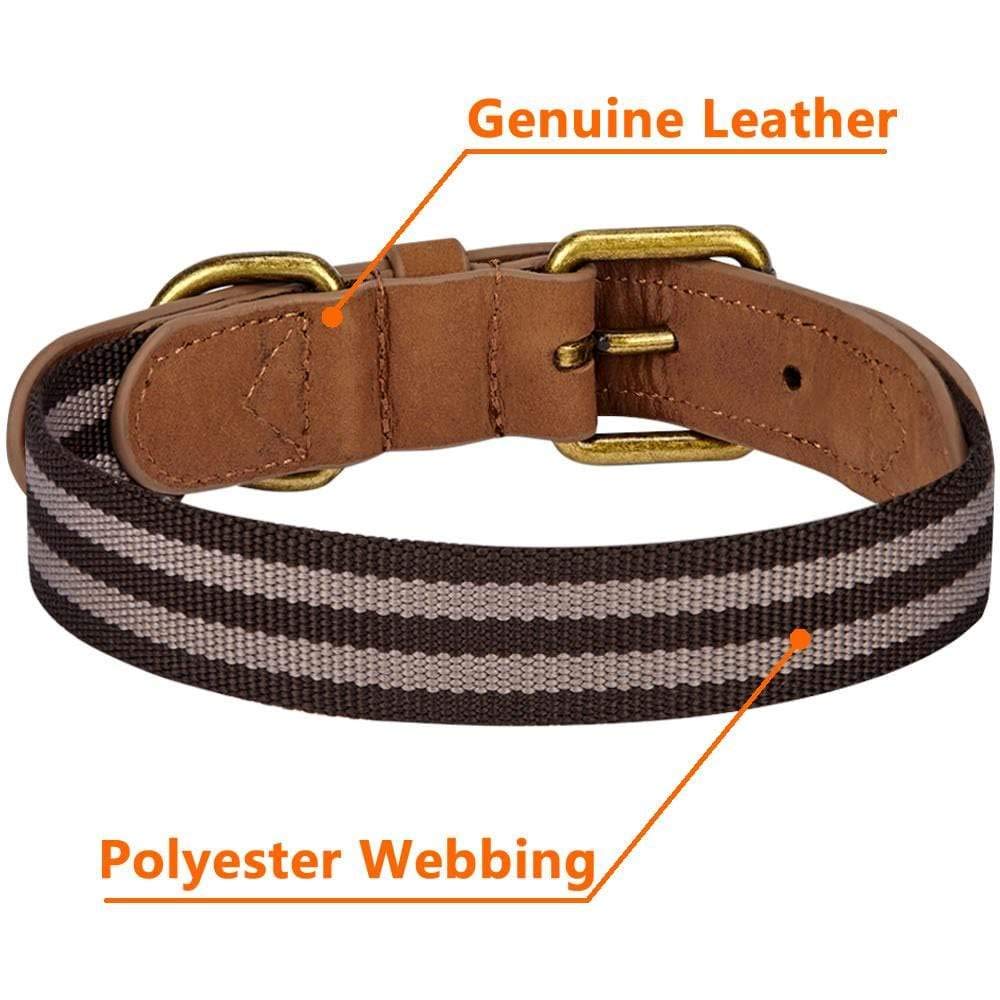 Blueberry Pet Soft & Comfy Leather Dog Collar - Adjustable Dog Collars For Small Dogs, Genuine Leather Collar For Dogs, Classic