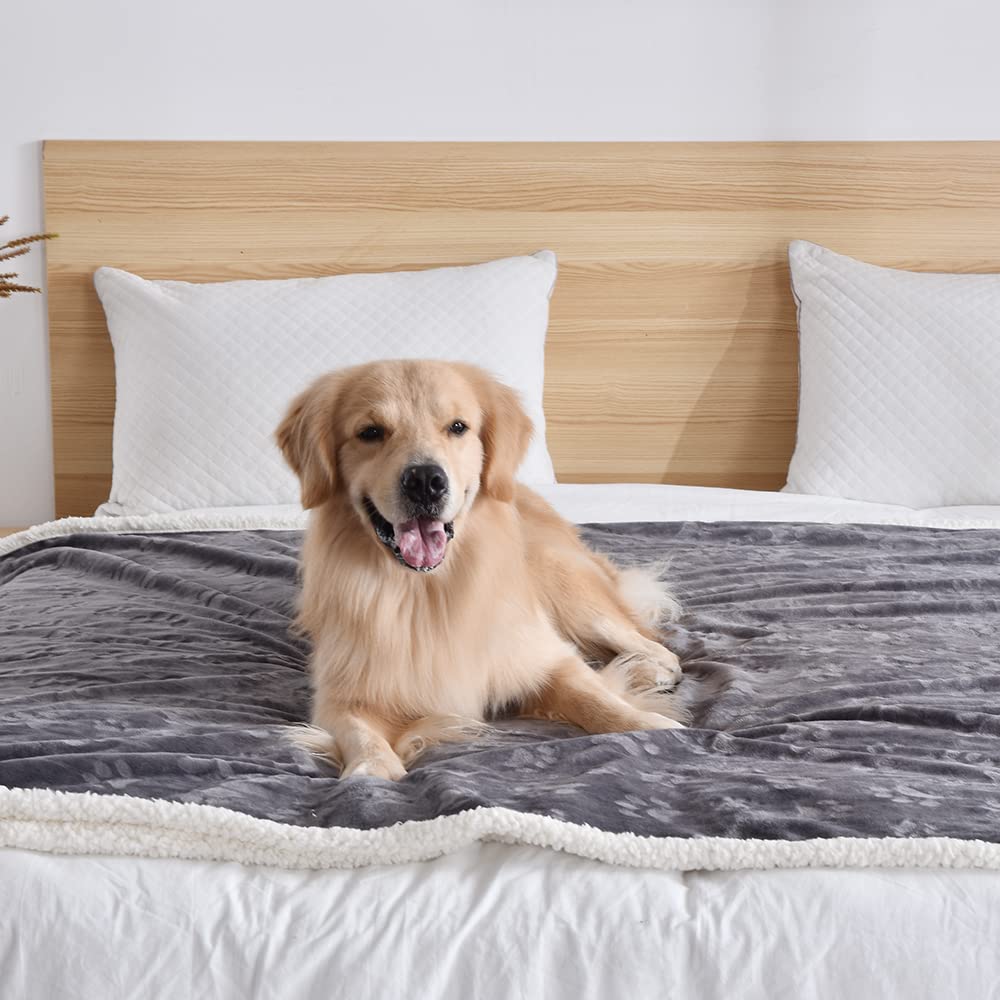 Qeils Dog Blankets For Medium Dogs - Waterproof Cat Blanket Washable - Sherpa Fleece Puppy Blanket, Soft Plush Reversible Throw Protector For Bed Couch Car Sofa, 50'X60', Dark Grey