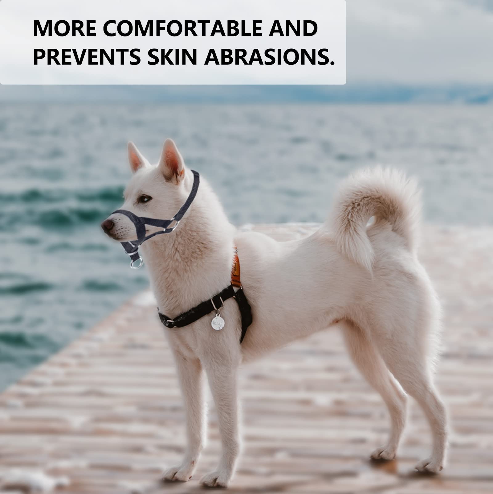 Wintchuk Dog Head Collar, Head Collar With Fabric Padded, Adjustable Training Tool Stop Dog'S Pulling (L, Black)