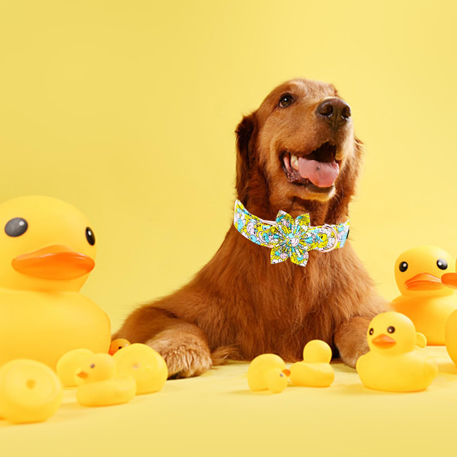 Elegant Little Tail Dog Collar- Cute Duck Dog Collar With Flower For Medium Dogs, Female Adjustable Cotton Summer Pet Flower Pup