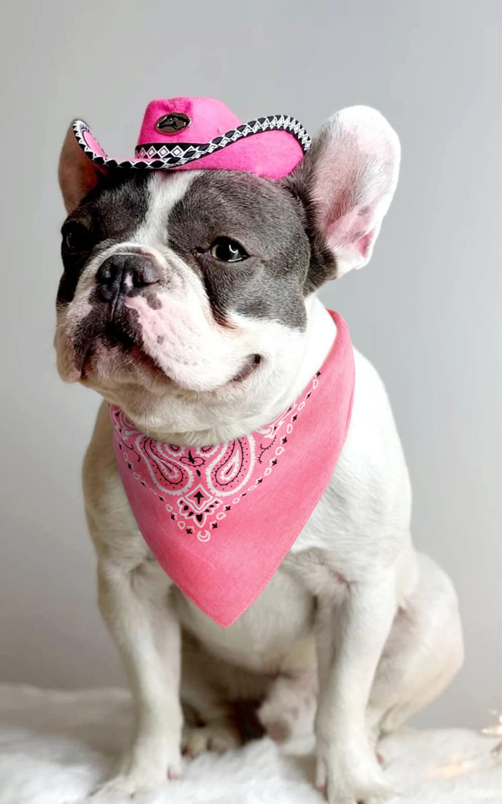 Gerinly Dog And Owner Matching Cowboy Pink Bandana Western Square Puppy Bib 2 Pack Costume Accessory For Valentine