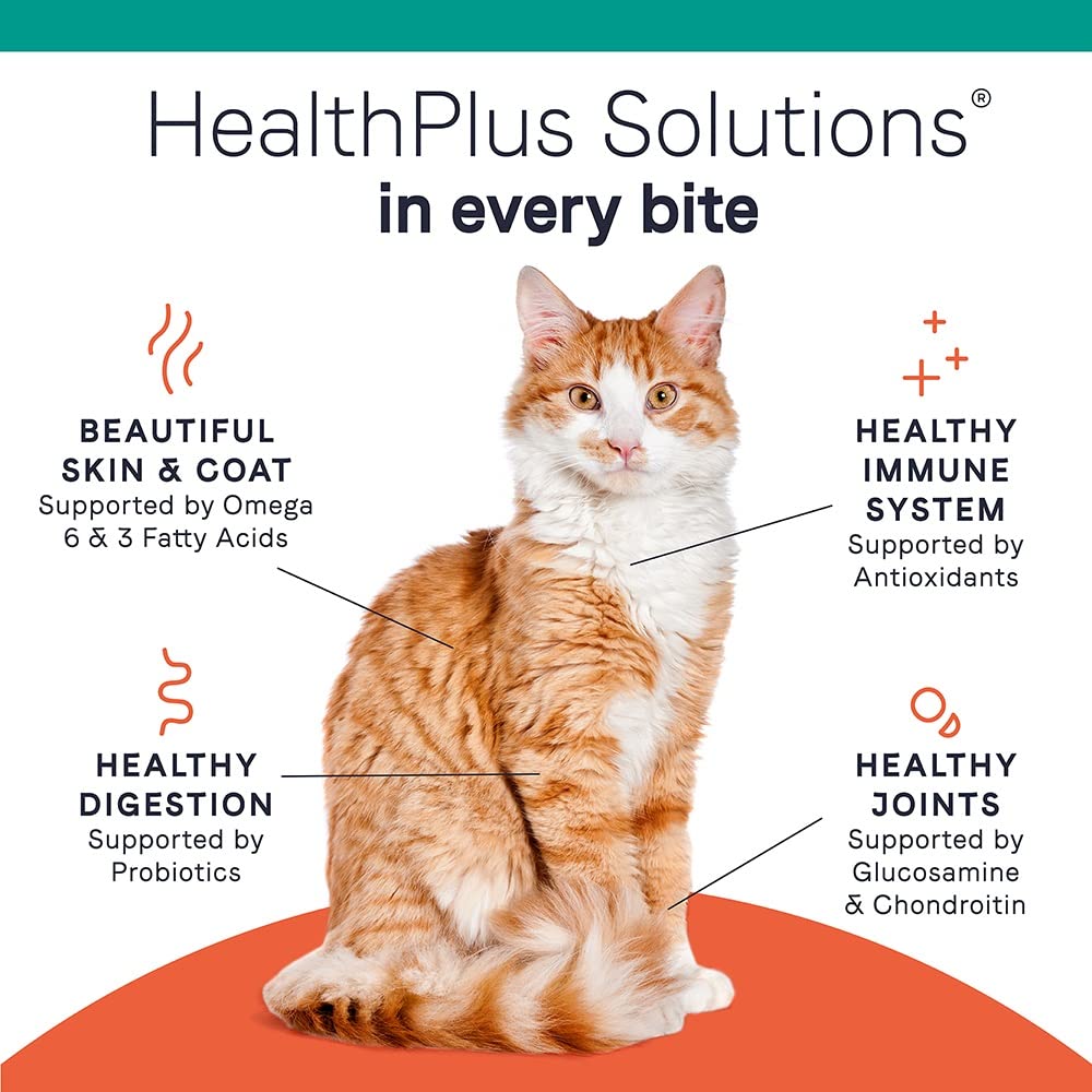 Canidae Pure Limited Ingredient Premium Dry Cat Food, Real Chicken Recipe, 5 lbs, Grain Free