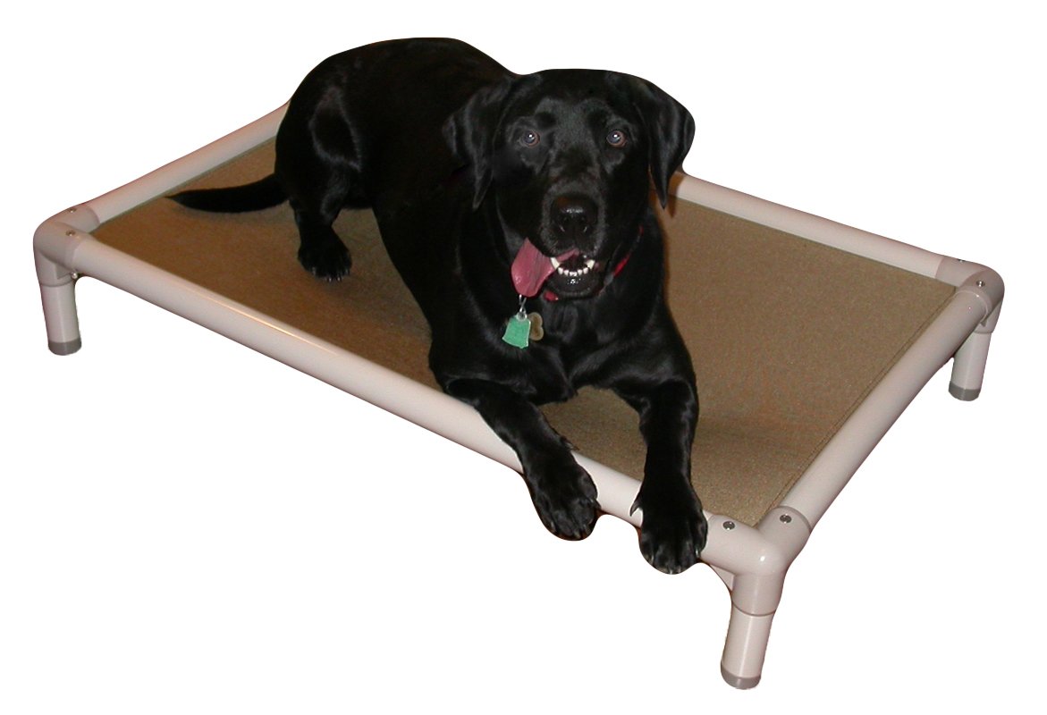 Kuranda Chewproof Bed - Large 40" x 25" - Gold Cordura Nylon - Durable Polyester