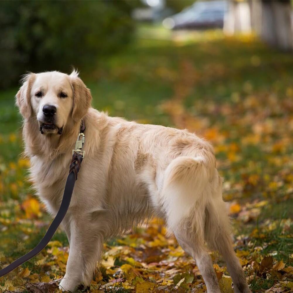 Lwbmg Leather Dog Leash 3 Ft Upgrade Braided Thick Genuine Leather Dog Leash With Lock Head Hook Short Heavy Duty Pet Training L