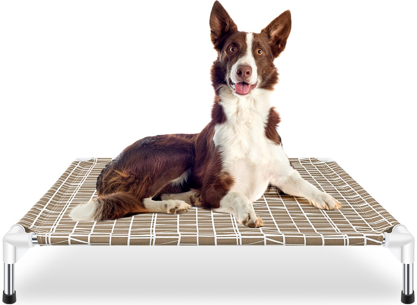 Dopliv Elevated Dog Bed - Raised Pet Cot, Medium Size, Portable Indoor & Outdoor Dog cot Bed, Soft and Comfortable, Pet Bed for 