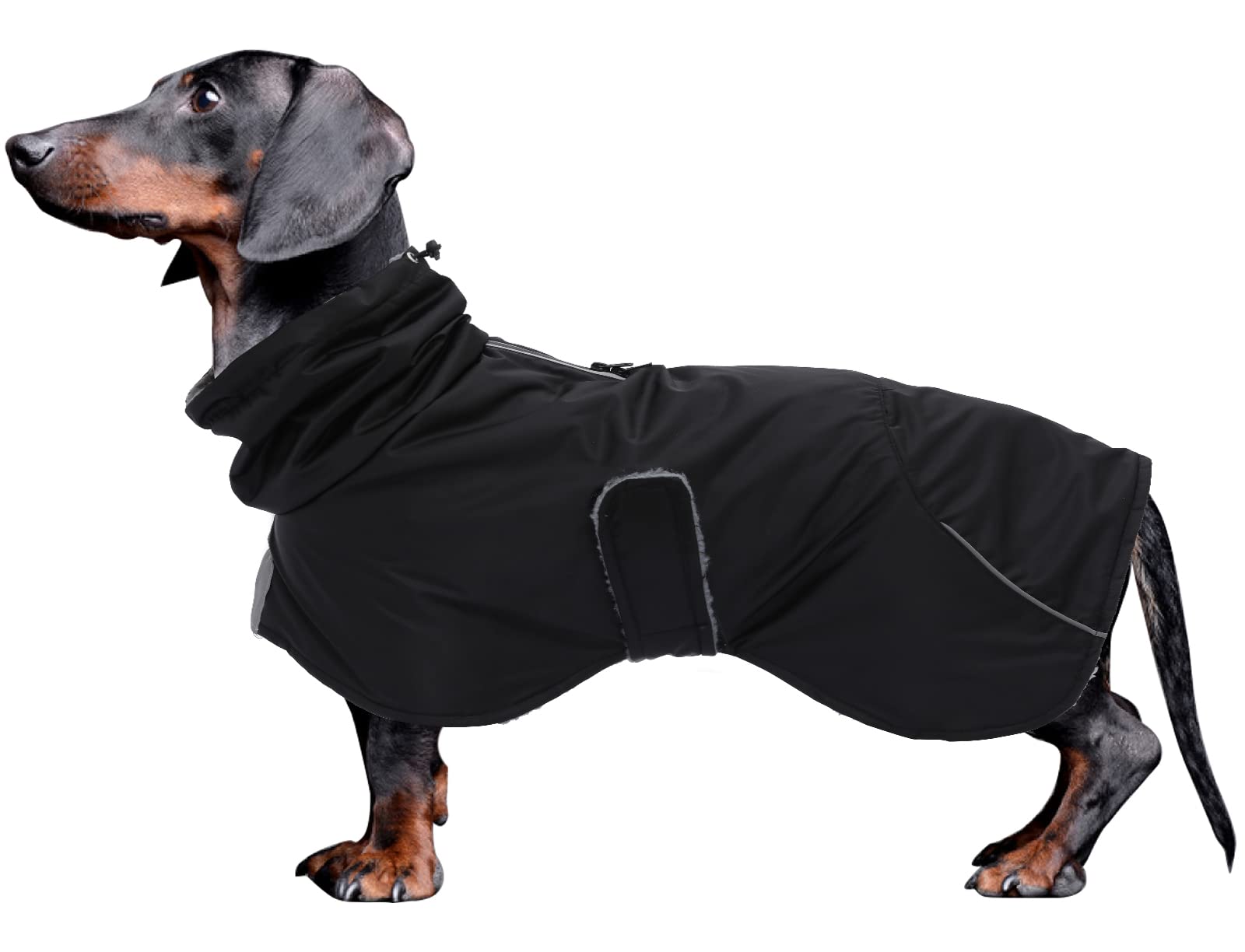 Dachshund Coats Waterproof, Perfect For Dachshunds, Sausage, Weiner Dog Winter Coat With Padded Fleece, Puppy Snowsuit With Adjustable Bands And High Vis Reflective Trim - Black - L