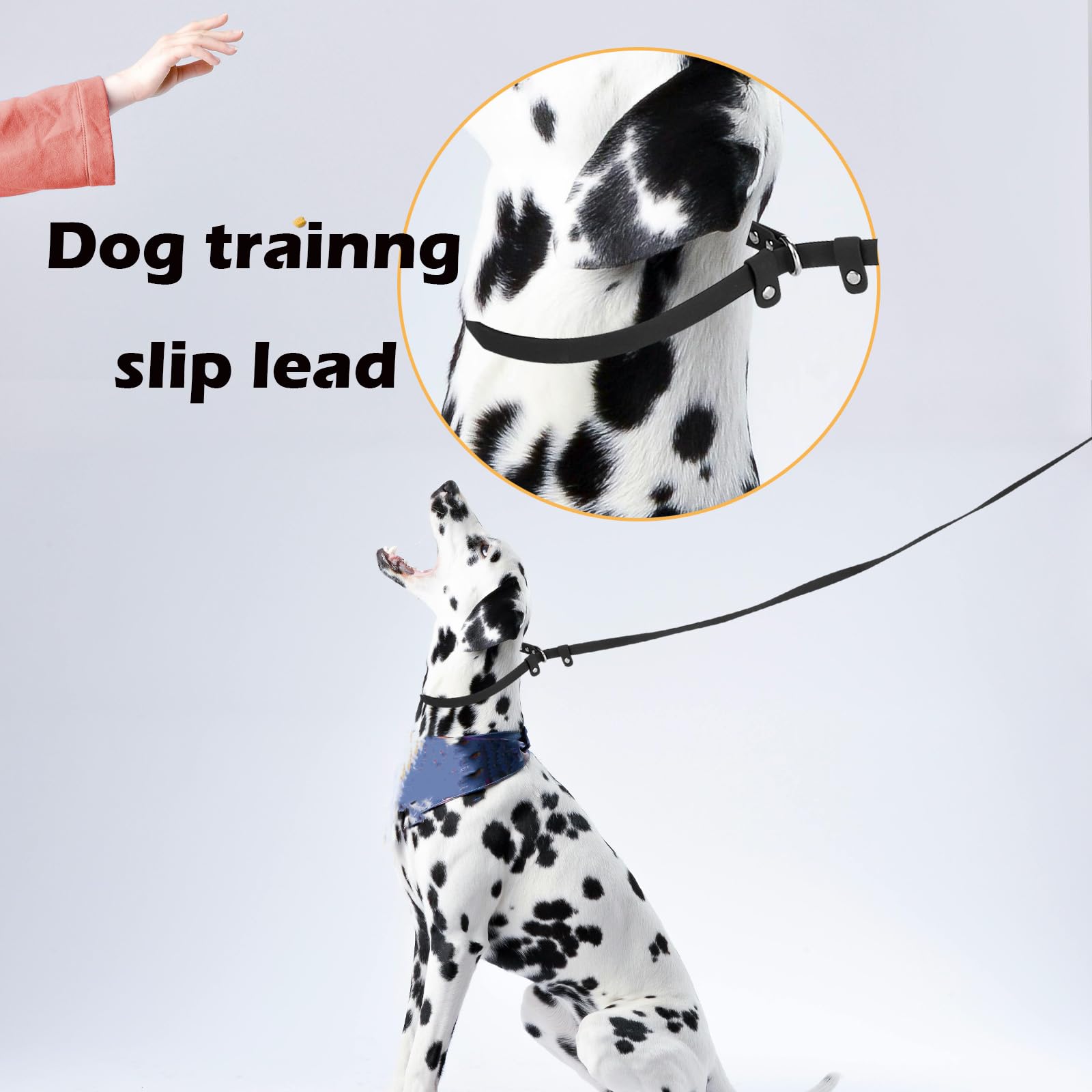 Fursdoly Dog Slip Lead Pet Leash 5Ft /6 Ft X 5/8'' Dogs Training Leashes Comfortable Soft Waterproof Pet Slip Leads, No Pull Pet