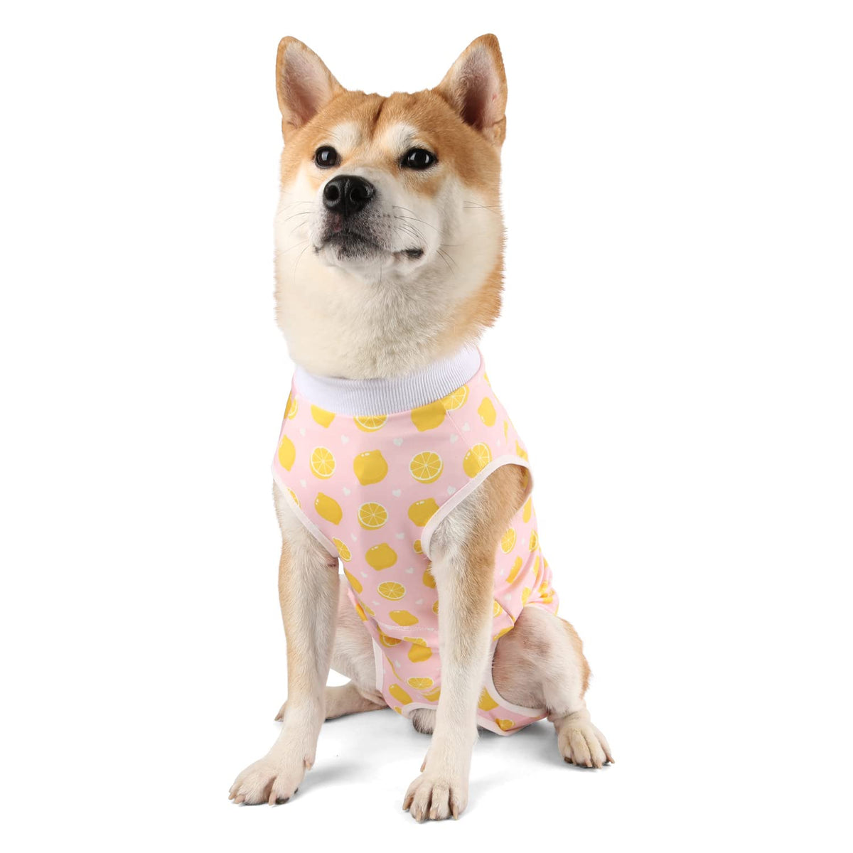 Etdane Recovery Suit For Dog Cat After Surgery Dog Surgical Recovery Onesie Female Male Pet Bodysuit Dog Cone Alternative Abdominal Wounds Protector Yellow Lemon/X-Small