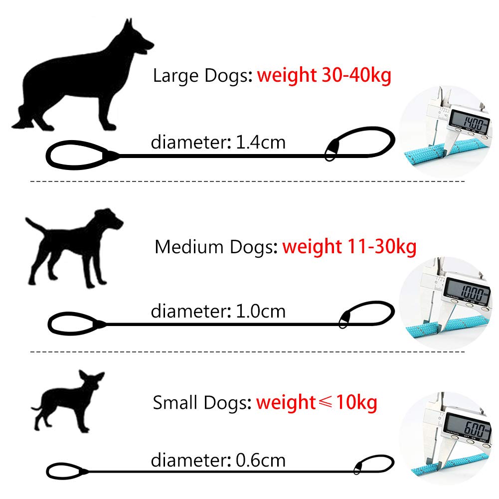Grand Line Slip Lead Dog Leash, 5Ft Reflective Slip Rope, Puppy Training Walking Controlling Lead, Slip Collar Pet Leash For Small, Medium, Large Dogs (Blue, Medium-2/5In X 5Ft)