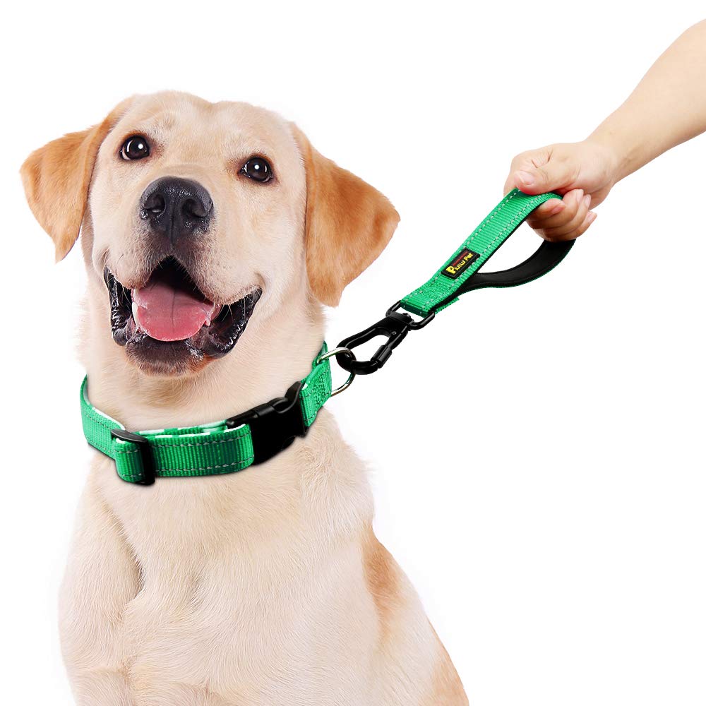Plutus Pet 10” Short Dog Leash, Reflective Nylon Padded Handle, Strong Traffic Leash With Carabiner Clip, Perfect For Large Or Medium Dogs(10”,Green