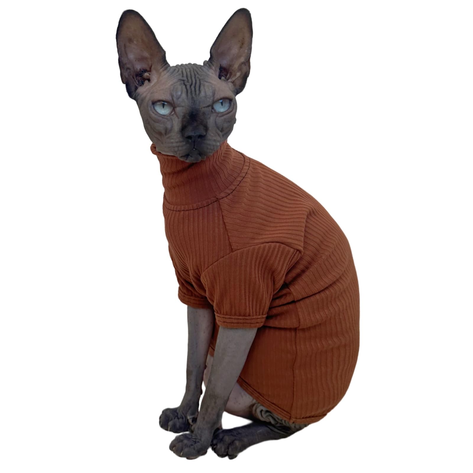 Kitipcoo Sphynx Hairless Cats Shirt Cotton Cat Turtleneck Sweater Pullover Kitten T-Shirts With Sleeves Cat Pajamas Jumpsuit For