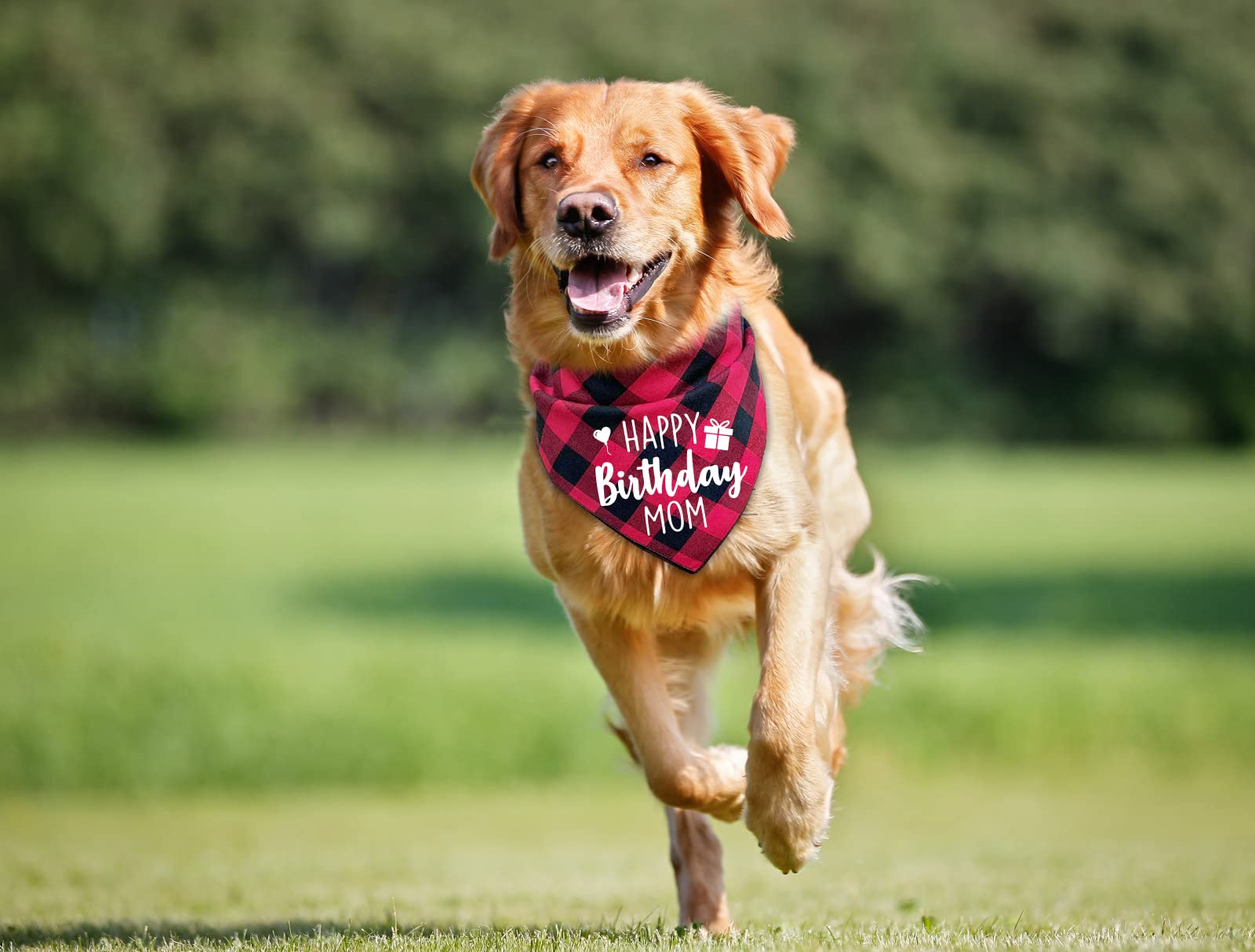 Ptzizi Funny Red Plaid Happy Birthday Mom Dog Printed Triangle Bandana, Small Medium Large Girl Pet Dog Birthday Party Scarf Bib