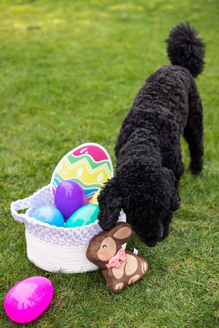 Pearhead Easter Chocolate Bunny Dog Toy, Plush Squeaker Pet Toy, Interactive Dog Toy, Soft Plush Dog Toy for Pet Owners