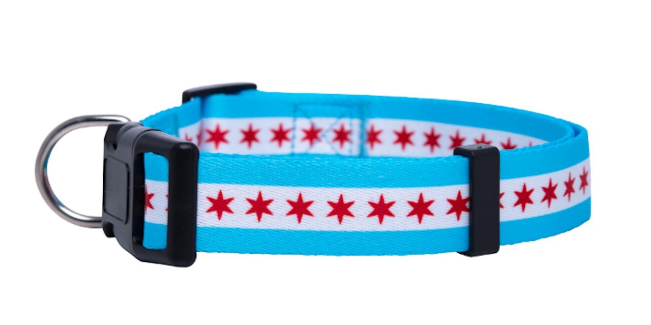 Native Pup Chicago Flag Dog Collar (Chicago, Large)