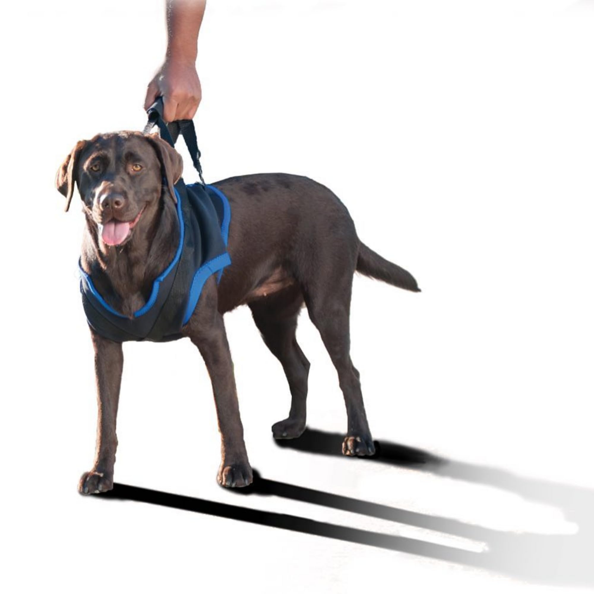 Walkabout Front Harness (Med/Small 16-25''