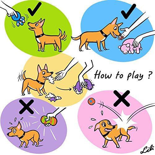 CHIWAVA 2.4" Squeak Latex Puppy Dog Toy Balls - 4 Pack Assorted Color Fetch Toys for Small Dogs, Model DTL00027