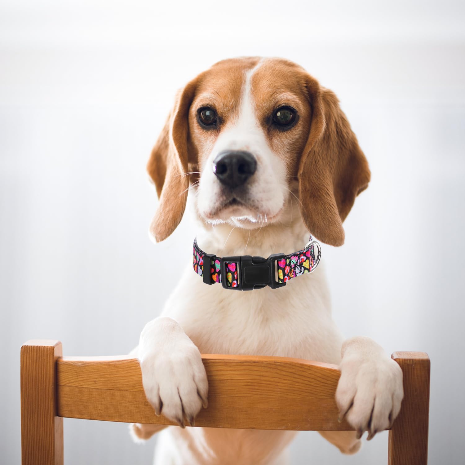 Dog Collar For Small Dogs With Love Hearts, Pink Girl Boy Dog Collar Adjustable Comfy Wedding Dog Collar With Safety Buckle For