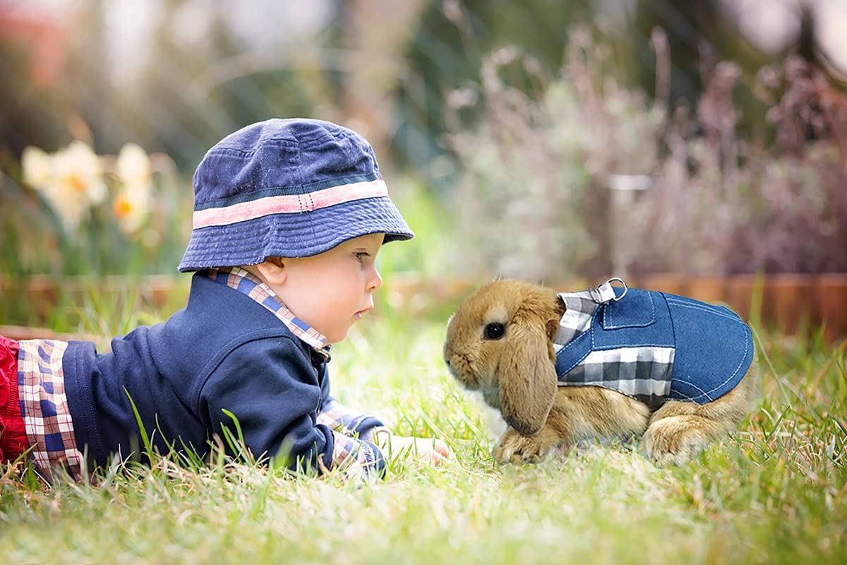 Vehomy Rabbit Harness and Leash Small Animal Clothes for Rabbit Guinea Pig, Bunny Plaid Harness Leash Guinea Pig Blue Denim Blac